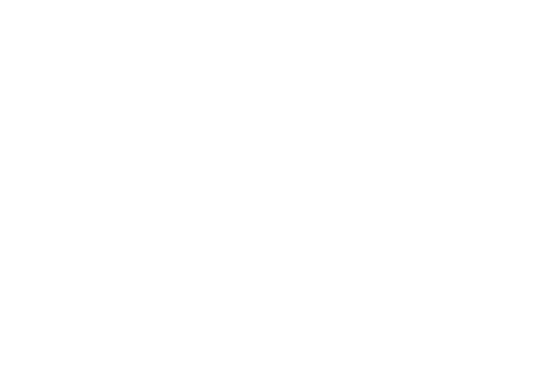 Another Direction logo white